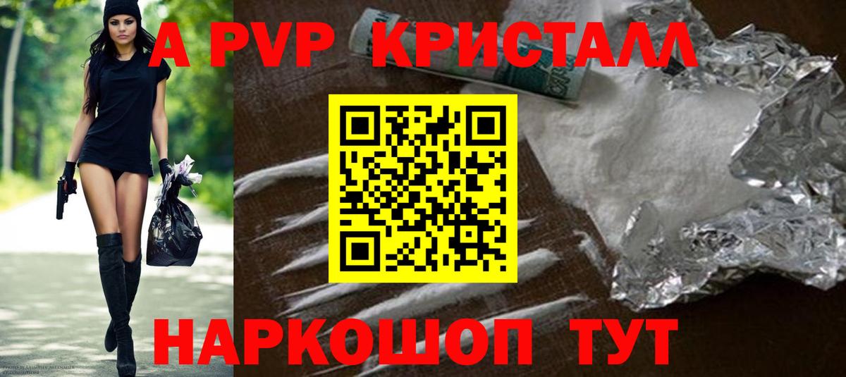 A PVP СК Новоалтайск