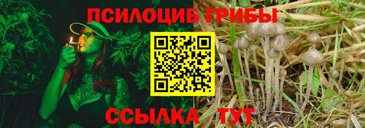Псилоцибиновые грибы Psilocybine cubensis  Вход с VPN  Новоалтайск 