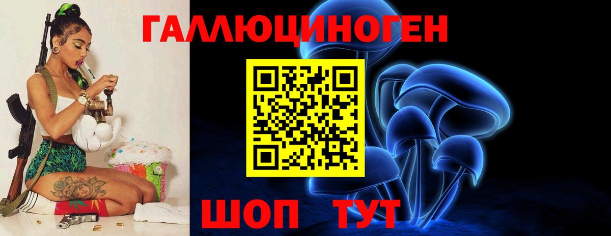 Псилоцибиновые грибы ЛСД Новоалтайск